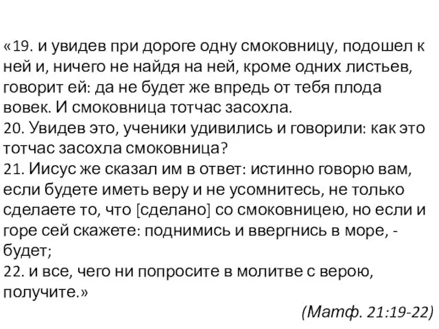 «19. и увидев при дороге одну смоковницу, подошел к ней и,