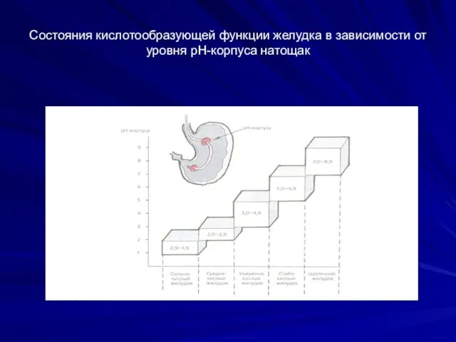 Состояния кислотообразующей функции желудка в зависимости от уровня рН-корпуса натощак