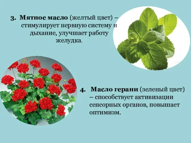 4. Масло герани (зеленый цвет) – способствует активизации сенсорных органов, повышает