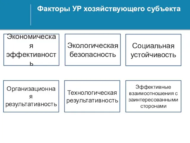 Факторы УР хозяйствующего субъекта Экономическая эффективность Экологическая безопасность Социальная устойчивость Организационная