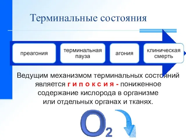 Терминальные состояния Ведущим механизмом терминальных состояний является г и п о