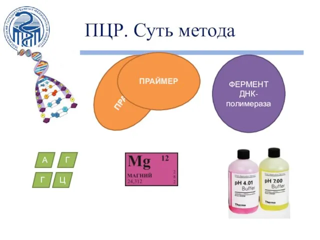 ПЦР. Суть метода ПРАЙМЕР ПРАЙМЕР ФЕРМЕНТ ДНК-полимераза А Г Г Ц