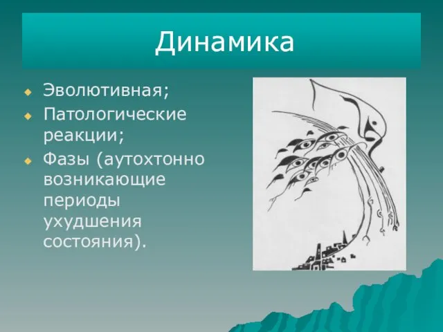 Динамика Эволютивная; Патологические реакции; Фазы (аутохтонно возникающие периоды ухудшения состояния).