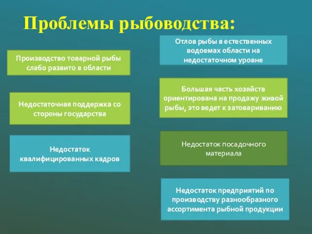 Проблемы рыбоводства: Производство товарной рыбы слабо развито в области Отлов рыбы