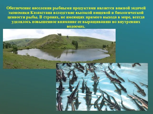 Обеспечение населения рыбными продуктами является важной задачей экономики Казахстана вследствие высокой
