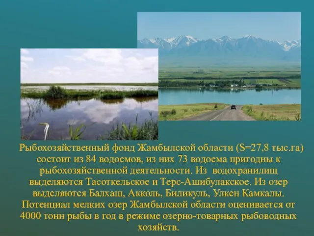 Рыбохозяйственный фонд Жамбылской области (S=27,8 тыс.га) состоит из 84 водоемов, из