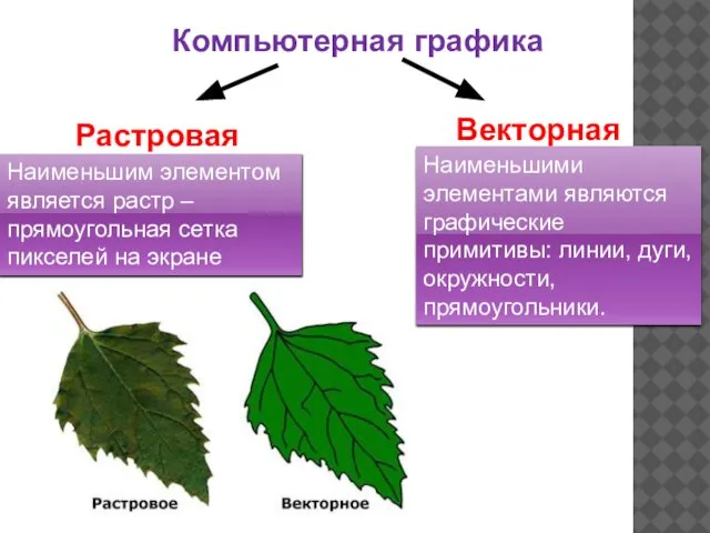 Компьютерная графика Растровая Векторная Наименьшим элементом является растр – прямоугольная сетка