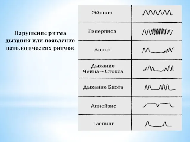 Нарушение ритма дыхания или появление патологических ритмов