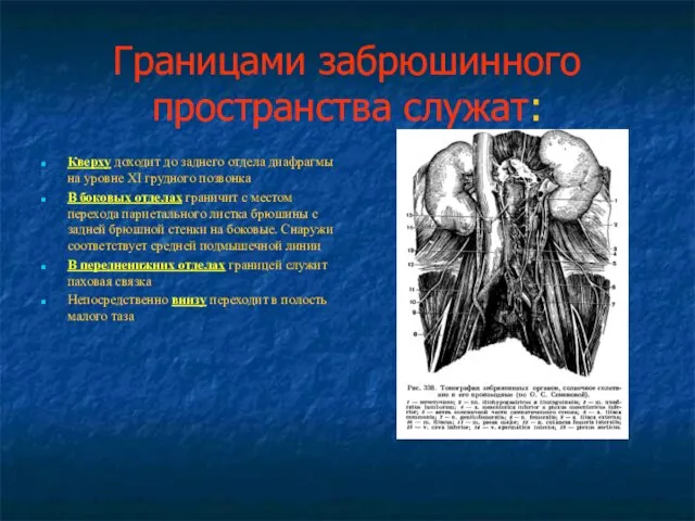 Границами забрюшинного пространства служат: Кверху доходит до заднего отдела диафрагмы на