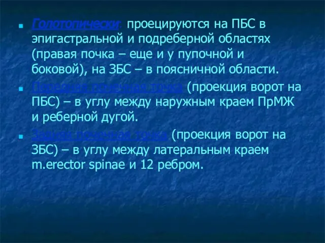 Голотопически: проецируются на ПБС в эпигастральной и подреберной областях (правая почка