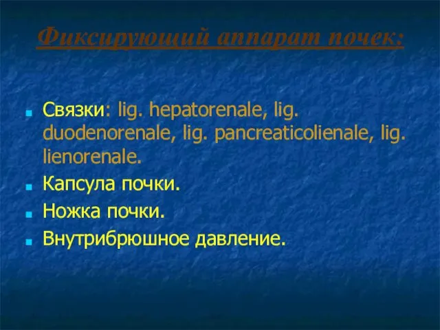 Фиксирующий аппарат почек: Связки: lig. hepatorenale, lig. duodenorenale, lig. pancreaticolienale, lig.