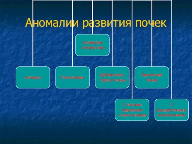 Аномалии развития почек