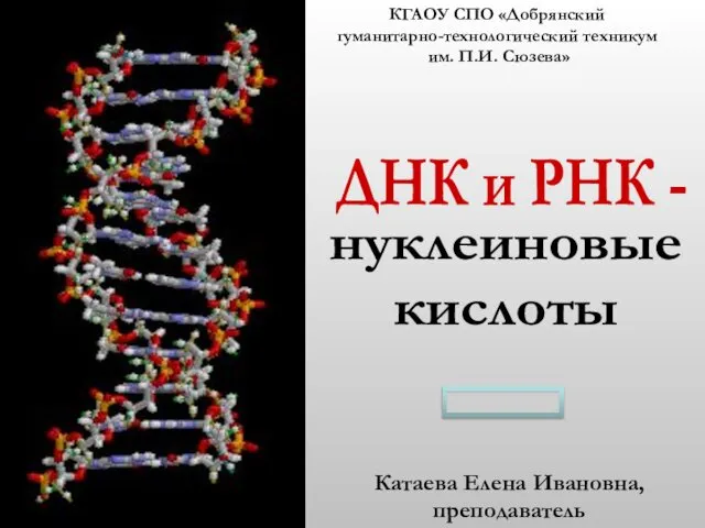 ДНК и РНК-нуклеиновые кислоты