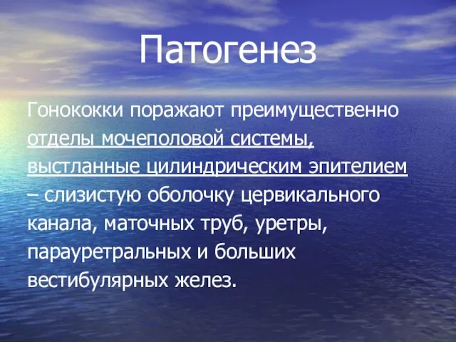 Патогенез Гонококки поражают преимущественно отделы мочеполовой системы, выстланные цилиндрическим эпителием –