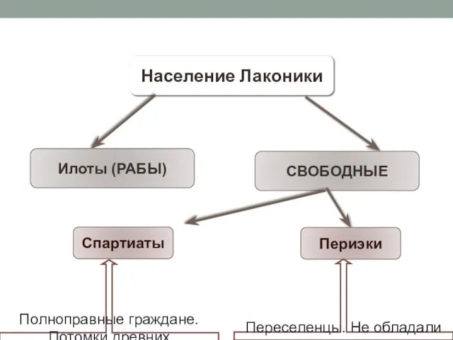 Население Лаконики Илоты (РАБЫ) СВОБОДНЫЕ Спартиаты Периэки Полноправные граждане. Потомки древних