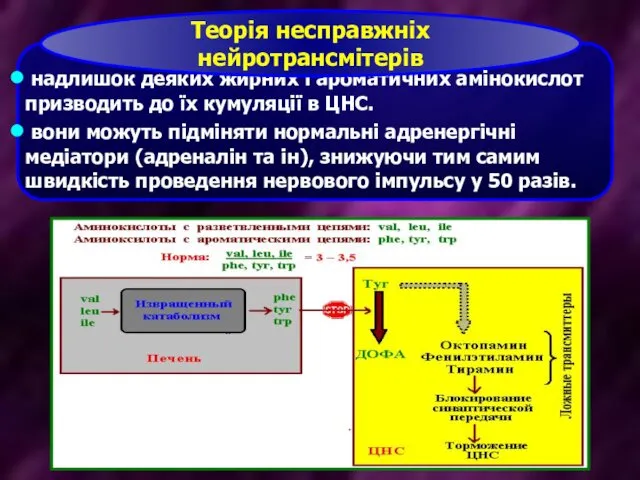 надлишок деяких жирних і ароматичних амінокислот призводить до їх кумуляції в