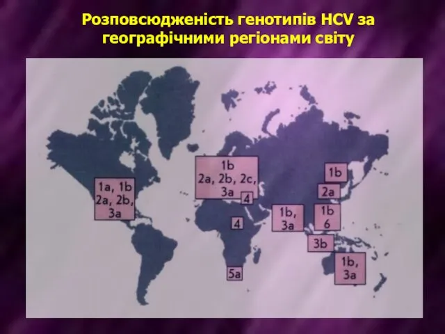 Розповсюдженість генотипів HCV за географічними регіонами світу