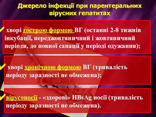 Джерело інфекції при парентеральних вірусних гепатитах хворі гострою формою ВГ (останні