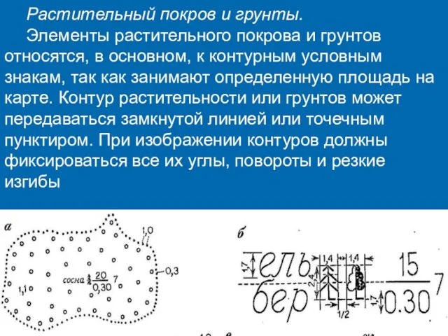 Растительный покров и грунты. Элементы растительного покрова и грунтов относятся, в