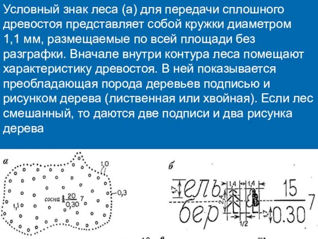 Условный знак леса (а) для передачи сплошного древостоя представляет собой кружки