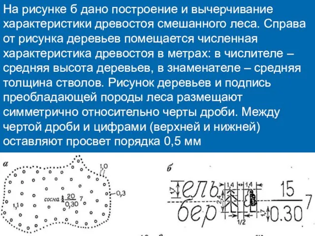 На рисунке б дано построение и вычерчивание характеристики древостоя смешанного леса.