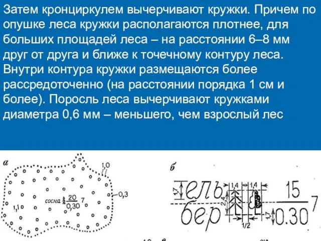 Затем кронциркулем вычерчивают кружки. Причем по опушке леса кружки располагаются плотнее,