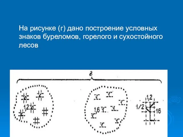 На рисунке (г) дано построение условных знаков буреломов, горелого и сухостойного лесов