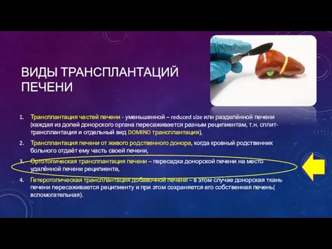 ВИДЫ ТРАНСПЛАНТАЦИЙ ПЕЧЕНИ Трансплантация частей печени - уменьшенной – reduced size