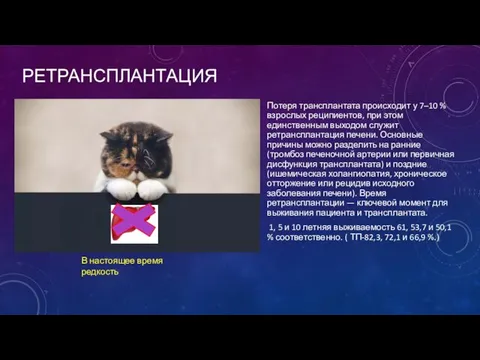 РЕТРАНСПЛАНТАЦИЯ Потеря трансплантата происходит у 7–10 % взрослых реципиентов, при этом