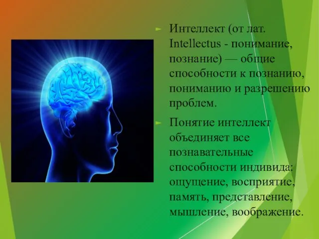 Интеллект (от лат. Intellectus - понимание, познание) — общие способности к