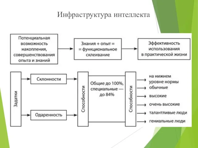 Инфраструктура интеллекта