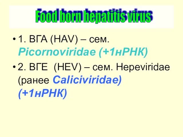 1. ВГА (HАV) – сем. Picornoviridae (+1нРНК) 2. ВГЕ (HЕV) –