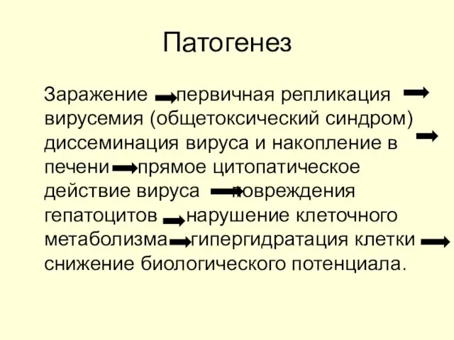 Патогенез Заражение первичная репликация вирусемия (общетоксический синдром) диссеминация вируса и накопление