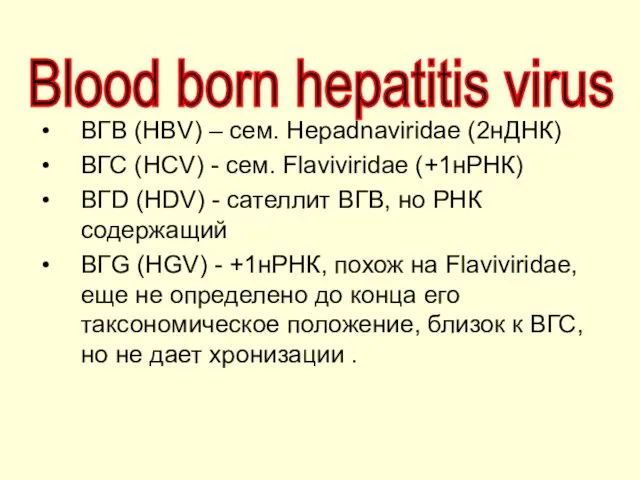 ВГВ (HBV) – сем. Hepadnaviridae (2нДНК) ВГС (HCV) - сем. Flaviviridae