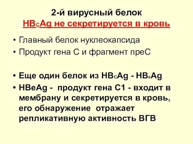 2-й вирусный белок HBСAg не секретируется в кровь Главный белок нуклеокапсида