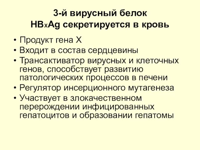 3-й вирусный белок HBХAg секретируется в кровь Продукт гена Х Входит