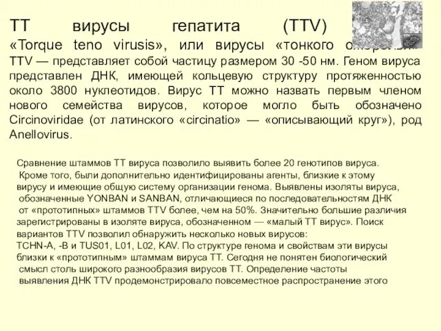 ТТ вирусы гепатита (ТТV) -, «Torque teno virusis», или вирусы «тонкого