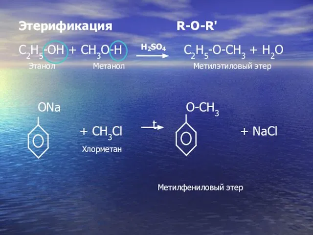Этерификация R-O-R' C2H5-OH + CH3O-H H2SO4 C2H5-O-CH3 + H2O Этанол Meтанол