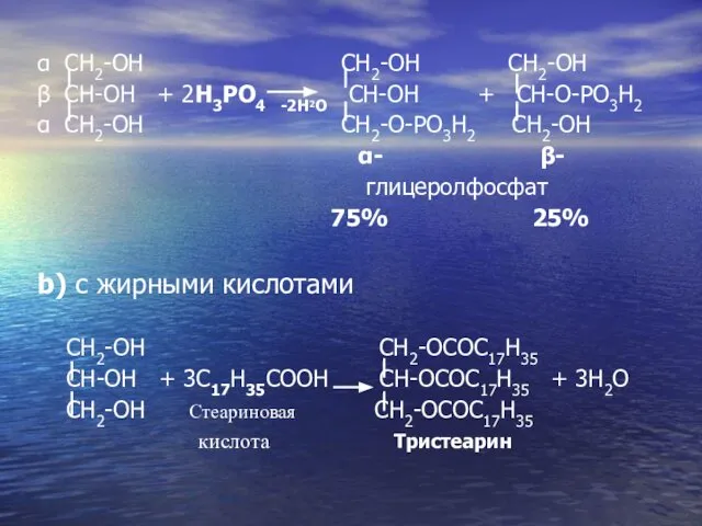 α CH2-OH CH2-OH CH2-OH β CH-OH + 2H3PO4 -2H2O CH-OH +