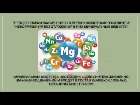 ПРОЦЕСС ОБРАЗОВАНИЯ НОВЫХ КЛЕТОК У ЖИВОТНЫХ СТАНОВИТСЯ НЕВОЗМОЖНЫМ БЕЗ ОТЛОЖЕНИЯ В