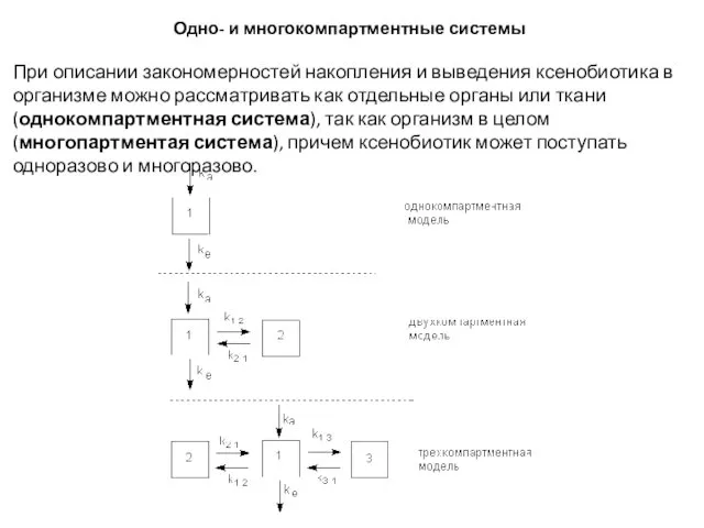 Одно- и многокомпартментные системы При описании закономерностей накопления и выведения ксенобиотика