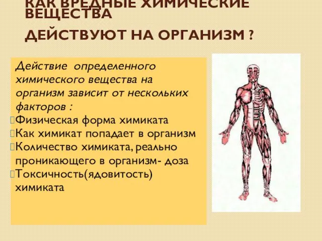 КАК ВРЕДНЫЕ ХИМИЧЕСКИЕ ВЕЩЕСТВА ДЕЙСТВУЮТ НА ОРГАНИЗМ ? Действие определенного химического