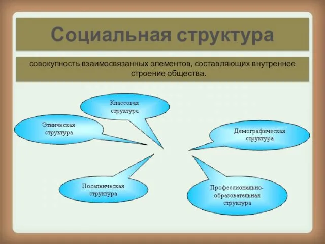 Социальная структура совокупность взаимосвязанных элементов, составляющих внутреннее строение общества.