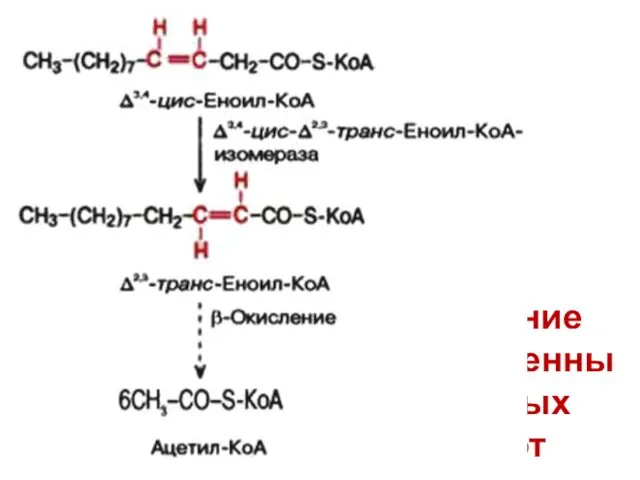 Окисление ненасыщенных жирных кислот