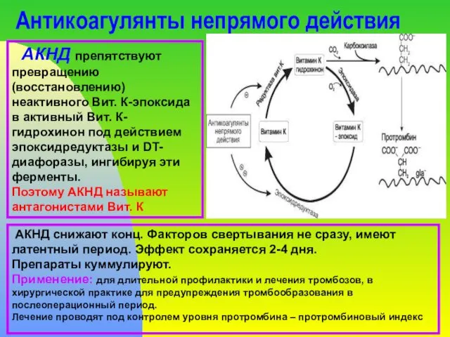 Антикоагулянты непрямого действия АКНД препятствуют превращению (восстановлению) неактивного Вит. К-эпоксида в