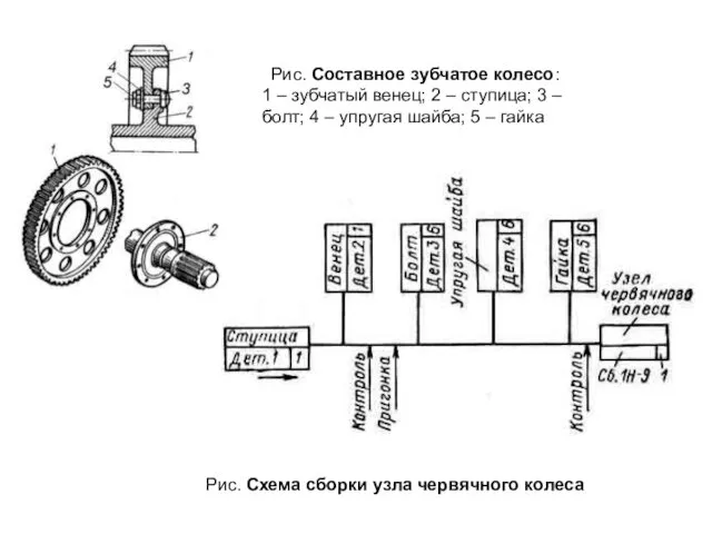 Рис. Составное зубчатое колесо: 1 – зубчатый венец; 2 – ступица;