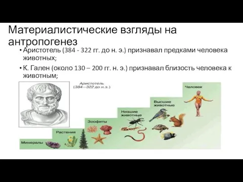 Материалистические взгляды на антропогенез Аристотель (384 - 322 гг. до н.