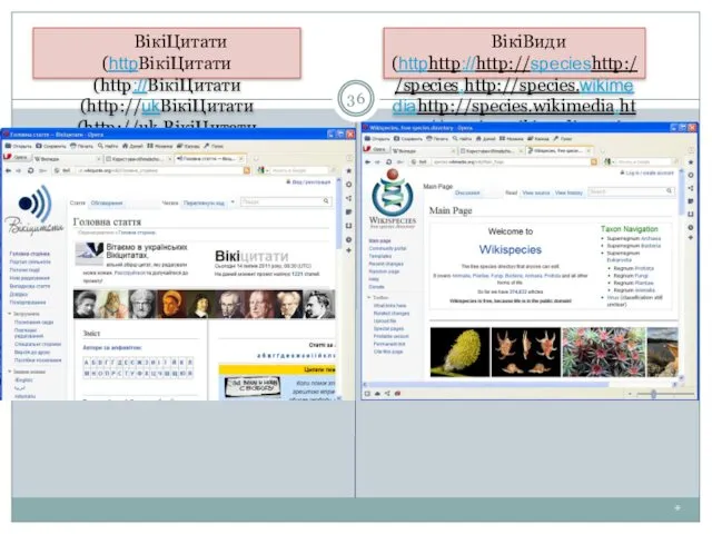 * ВікіЦитати (httpВікіЦитати (http://ВікіЦитати (http://ukВікіЦитати (http://uk.ВікіЦитати (http://uk.wikiquoteВікіЦитати (http://uk.wikiquote.ВікіЦитати (http://uk.wikiquote.org) ВікіВиди (httphttp://http://specieshttp://species.http://species.wikimediahttp://species.wikimedia.http://species.wikimedia.org)