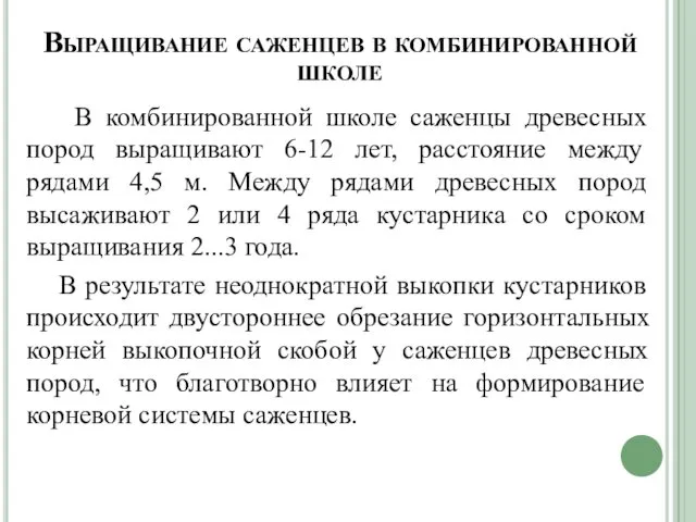 Выращивание саженцев в комбинированной школе В комбинированной школе саженцы древесных пород