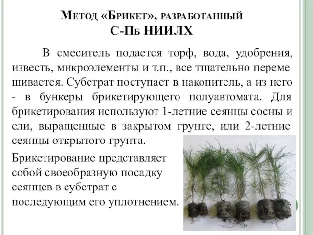 Метод «Брикет», разработанный С-Пб НИИЛХ В смеситель подается торф, вода, удобрения,